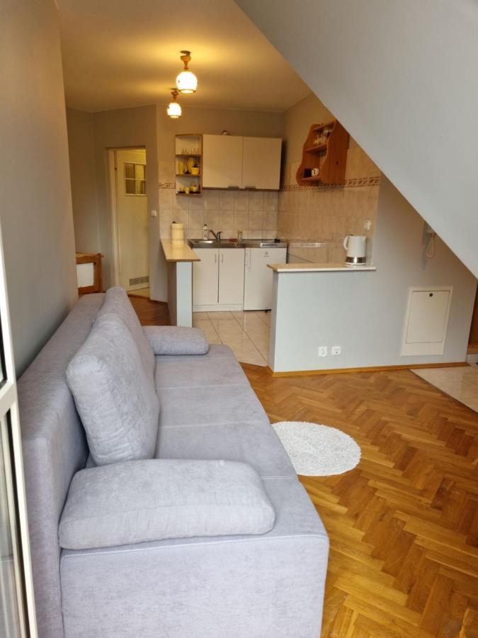 Apartament Droga Na Bystre 9A Закопане Экстерьер фото